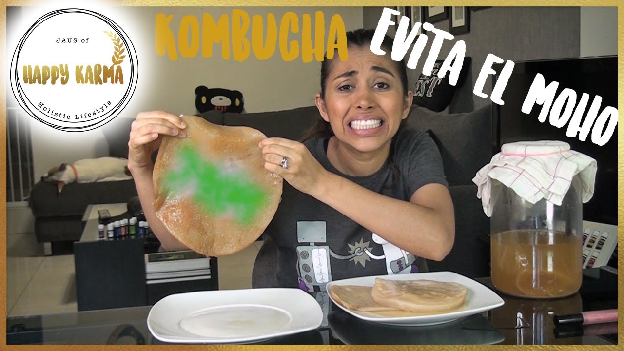 Kombucha, cómo saber si tu SCOBY tiene moho? 