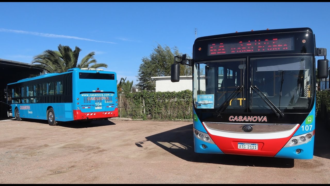 ÓMNIBUS HÍBRIDOS ¿Son rentables?