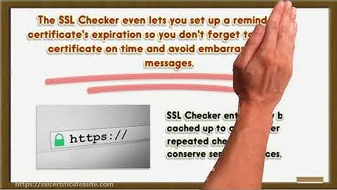 SSL Certificate Checker