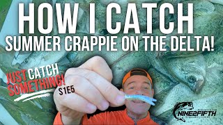 How I CATCH CRAPPIE On The DELTA! Just CATCH Something! S1E5 #crappiefishing #crappies