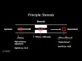 Doppler Ultrasound Part 1 - Principles (w/ focus on Spectral Waveforms)