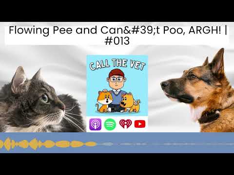 Flowing Pee and Can't Poo, ARGH! | #013