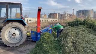 коммунальщики перерабатывают брошенные елки