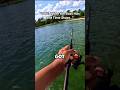 “This Bass Nearly Pulled Me In!” #bassfishing #fishing #bankfishing #catchandrelease #bassangler
