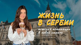 Переезд в Сербию | полтора года в иммиграции