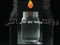 “Allah Never Abandoned You | Powerful Verses from Surah Ad-Duha 🌙✨”