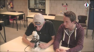 les 5- Practicum voorbereiding