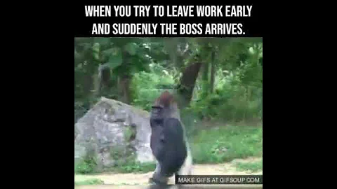 When you try to leave work early and suddenly the boss arrive