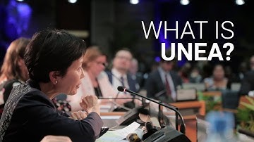 What is the United Nations Environment Assembly?