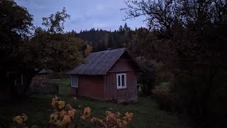 видео: Трогательная история о жизни пожилой женщины в горах, Вдали от Цивилизации. картинка: Трогательная история о жизни пожилой женщины в горах, Вдали от Цивилизации.