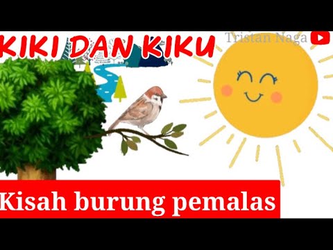 Kiki dan kiku || fabel cerita anak || dongeng || materi