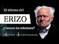 DILEMA del ERIZO (Arthur Schopenhauer) - ¿Por qué nos ALEJAMOS de nuestros SERES QUERIDOS?