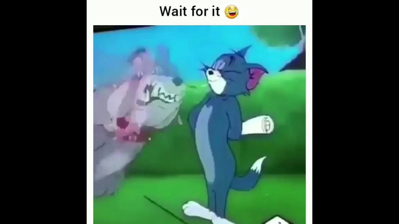 Tom And Jerry (Tom Messing With Spike Funny Parody)! YouTube