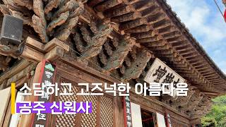 ✔ 신원사 영상