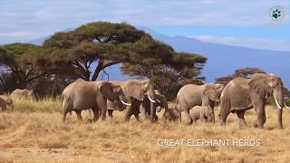 Amboseli National Park Safari with Natural World Kenya