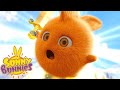 SUNNY BUNNIES - JEU | Dessins Animés Pour Enfants | WildBrain