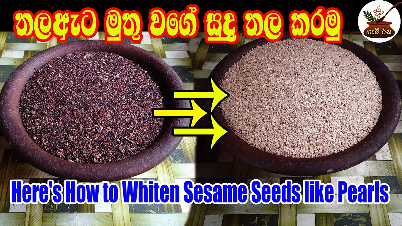 Here's How to Whiten Sesame Seeds like Pearls මුතු ඇට වගේ තල ඇට සුදු කරන හැටි මෙන්න {Subtitel CC}