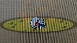 Live shiny Aron after 5213 REs in Pokémon Sapphire (SBQ#2)