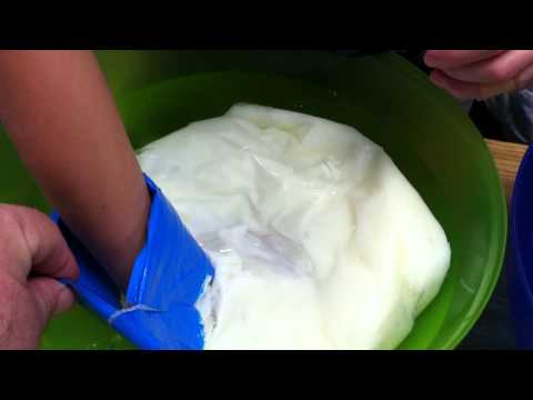 Does a layer of blubber help keep animals warm in