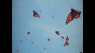 Sondae, Moflo - Fly away ( slowed + reverb )