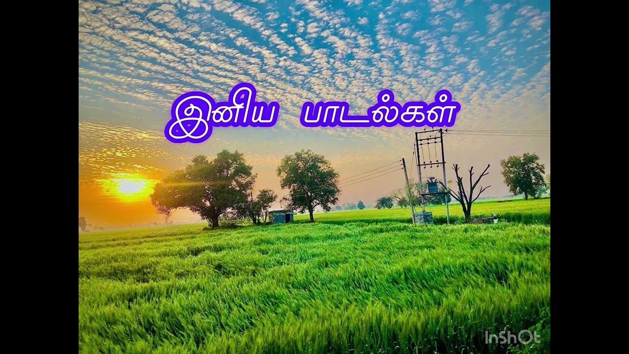இனிய பாடல்கள்🎶beautiful melodies