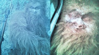 Rangers Hunt Down a Killer Sasquatch - BIGFOOT SIGHTINGS STORY Compilation