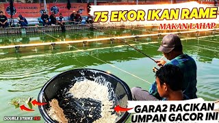 75 EKOR IKAN RAME MAKAN LAHAP‼️JUARA TOTAL KE 2 - HANYA MEDIA RACIKAN UMPAN WARUNG