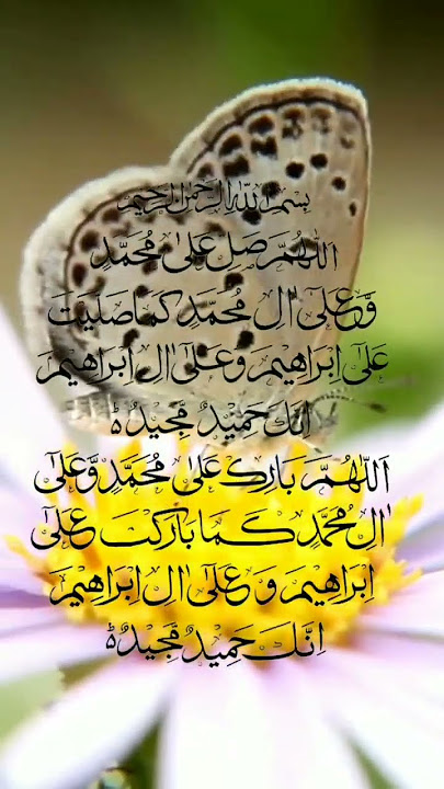 @mimran5430 #islamicshort #alquran #droodepak #likesubscribe #foryou #unfrezzmyaccount #duet