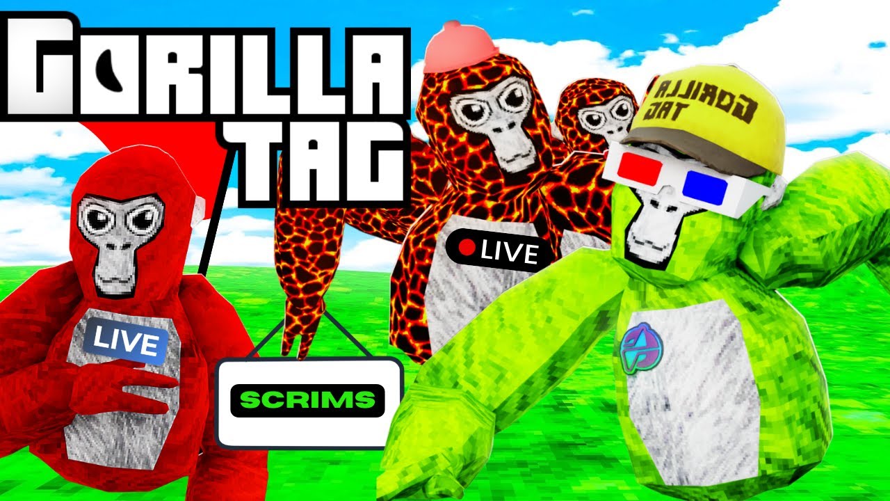 GoRillA TaG LiVe Scrims #gorillatag #gtag #Livestream