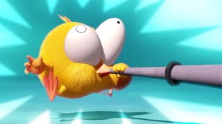 : Funny Chicky | Where's Chicky? | Cartoon Collection in English for Kids | New episodes