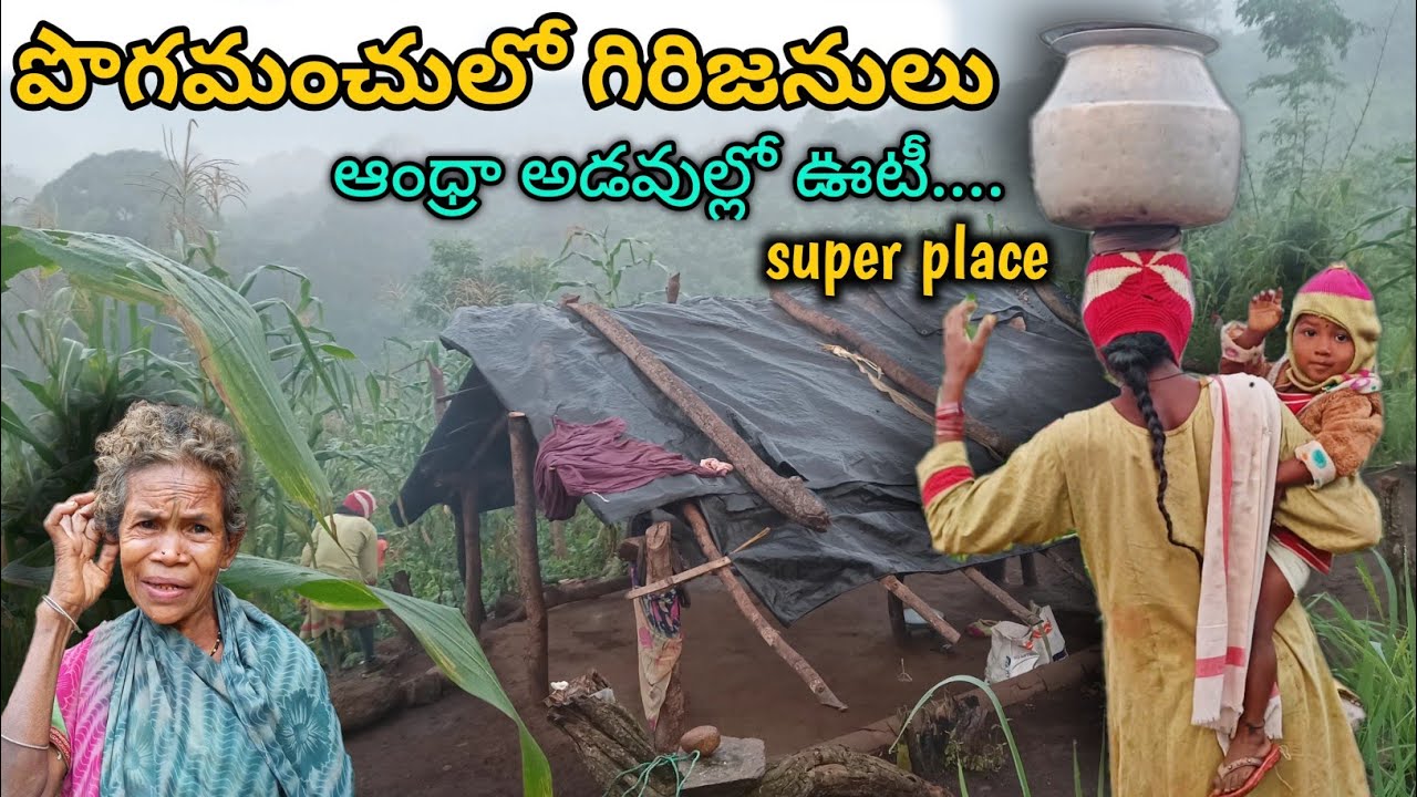 Andhra Ooty- Maredumilli forest || India tribes lifestyle || కొండపోడు 