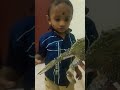 நண்டு 🦀🦀#rithu kutti reaction when see crab in first time #oman Tamil shorts #chellakutti #oman
