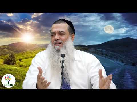 פרשת בראשית - הרב יגאל כהן HD - לא לפספס!!!