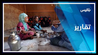 تزايد معدلات سوء التغذية تهدد حياة النساء في #اليمن | تقرير: أمل منصور