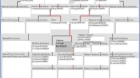 Family Tree Software Solutions Provider Developer Designer Programmer Consultant Analyst Offer