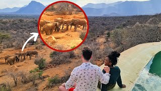 Our Close Encounter with Elephants in Kenya! 🇰🇪