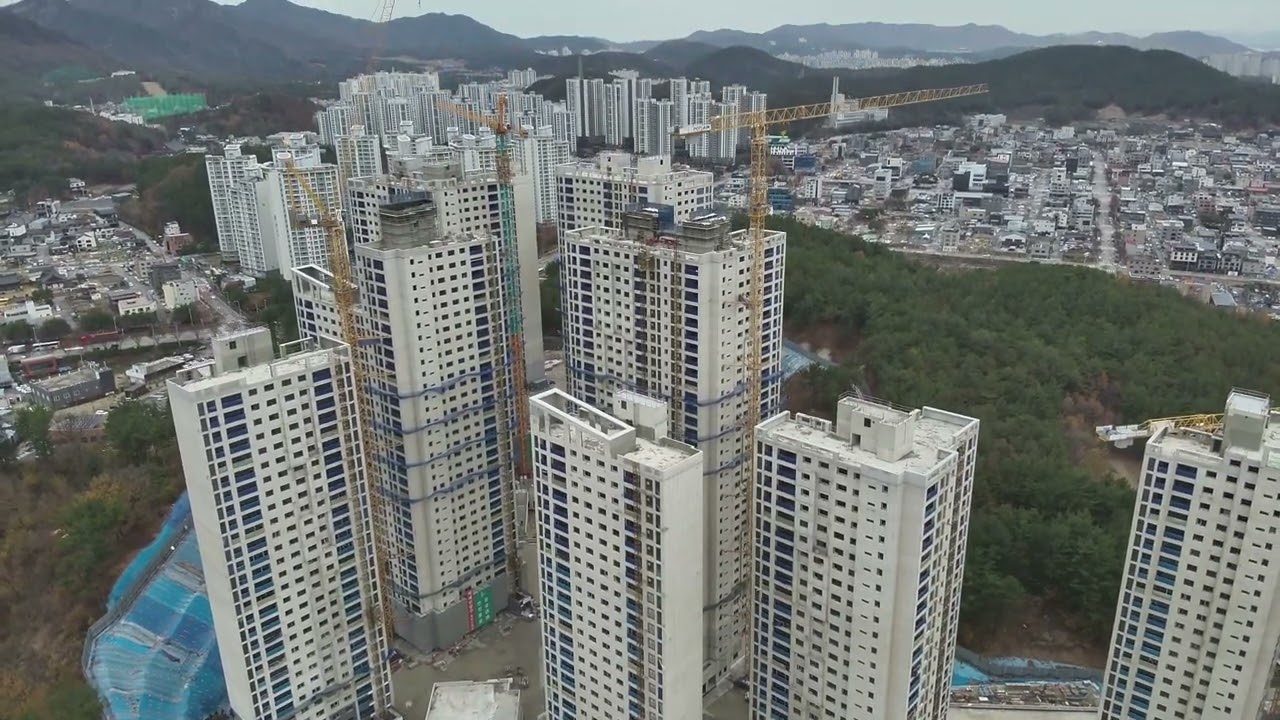 학하포레나 202412