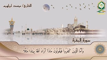 سورة البقرة من الآية (٢٦) إلى الآية (٢٩) #محمد_ابراهيم #سورة_البقرة #subscribe