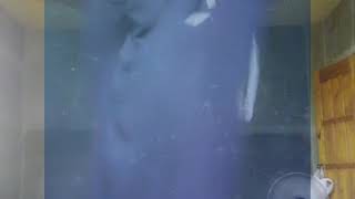 Hijan In Niqab Style