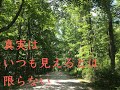 真実はいつも見えるとは限らない：心の叡智でしっかり見抜こう　　　　　　　　　　　　　　　The truth isn't always visible.