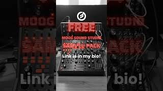 FREE Moog Sample Pack #moog #dfam #subharmonicon #labyrinth #samples #loops #samplepack