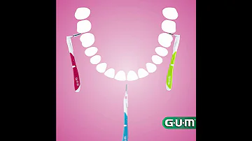 Brossette Interdentaire GUM Bi Direction 