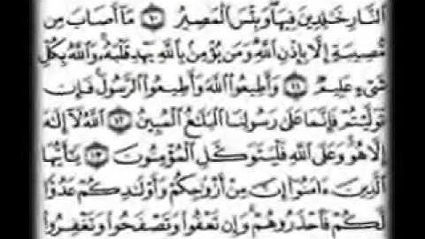 سورة التغابن الشيخ علي الجعفري العنزي