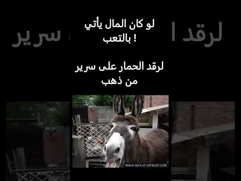 لو كان المال يأتي بالتعب لرقد الحمار على سرير من ذهب