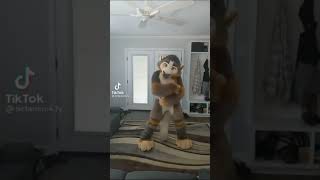 BEST Furry TikToks compilation 0204 #shorts #furrytiktok #furry #furrycompilation