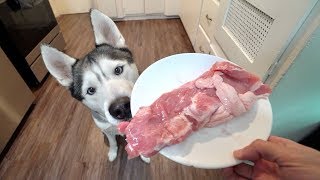 Husky Vs Full Pork Riblets! (Asmr)