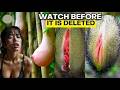 20 Exotic Fruits You've Never Seen – #16 Tastes Like Chocolate Pudding!