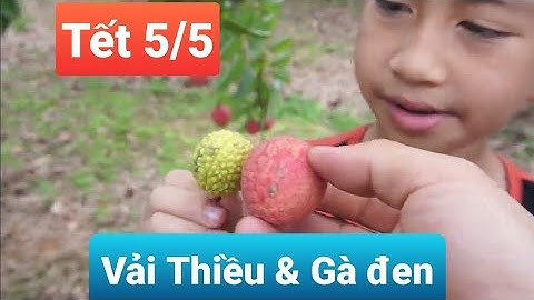 Ăn Tết Đoan Ngọ l Núi Đồi Lục Ngạn