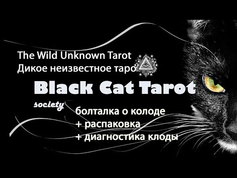 The Wild Unknown Tarot (Дикое Неизвестное Таро). Болталка + распаковка + диагностика колоды.