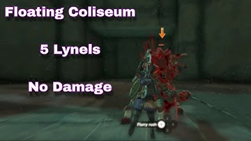 No Damage Floating Coliseum - The Legend of Zelda: Tears of the Kingdom